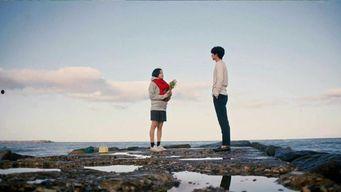 孤独又灿烂的我们