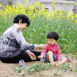 祖孙情,岁月如歌